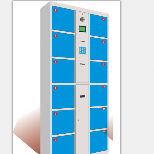 ZX-C208條碼型12門存包柜